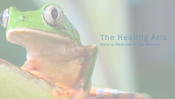 Frog-1080×675-750×422