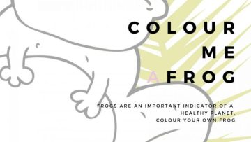 Frog-Banner-1080×675-750×422