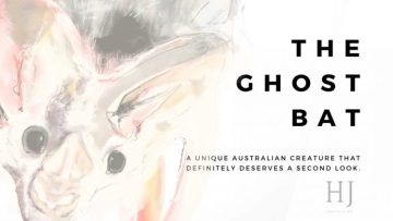 ghost-bat-3-1080×675-750×422