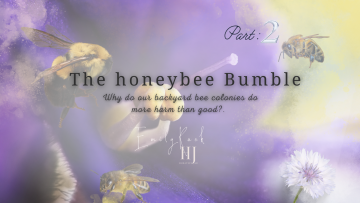 2022-Honeybee-bumble-banner-final-1.png